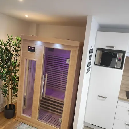 Maison Avec Sauna - 1 - 2 A 4 Personnes Tatil Evi Volvic